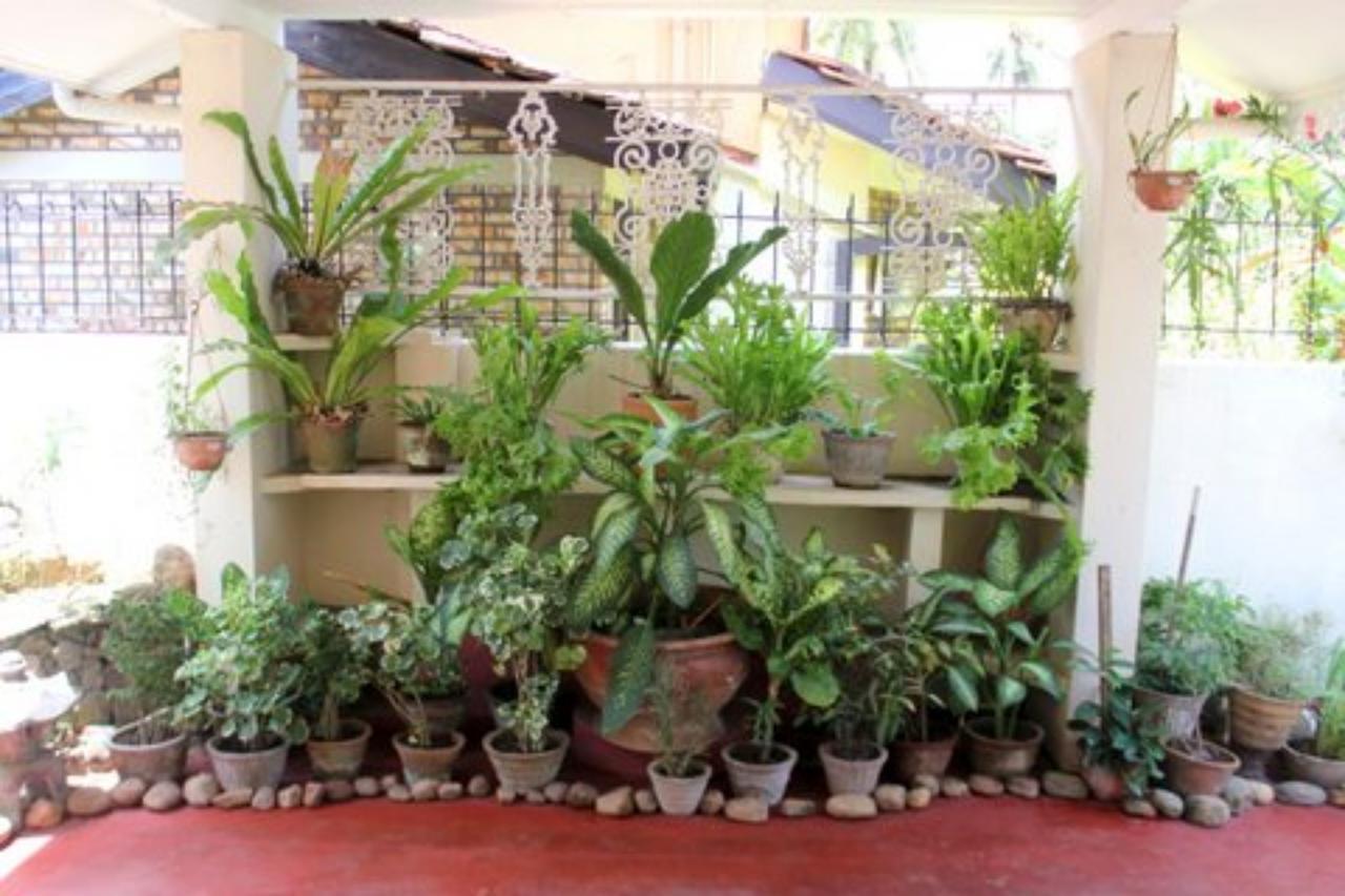 Charming Homestay By The Beach Dehiwala-Mount Lavinia Εξωτερικό φωτογραφία